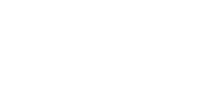 Curtis Hays Consulting